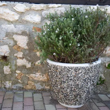Casa Della Nonna * Kardhakáta